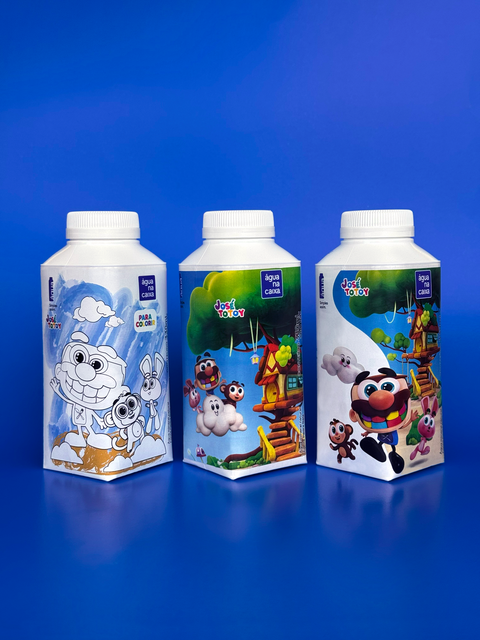 Água na Caixa - 330ml JOSÉ TOTOY